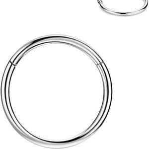 FANSING 316l Surgical Steel Hinged Nose Rings Hoop